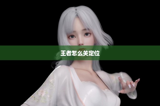 王者怎么关定位