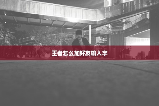 王者怎么加好友输入字