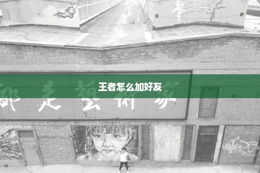 王者怎么加好友