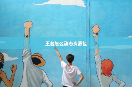 王者怎么动态资源包