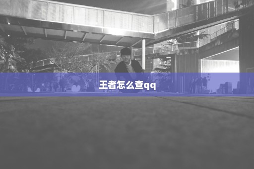 王者怎么查qq
