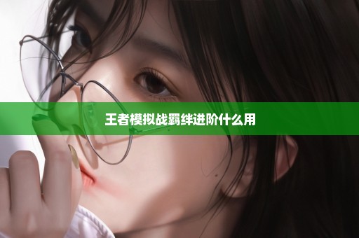王者模拟战羁绊进阶什么用