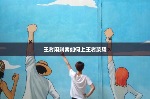 王者用刺客如何上王者荣耀