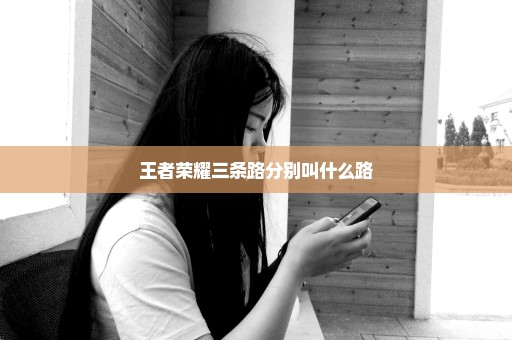 王者荣耀三条路分别叫什么路