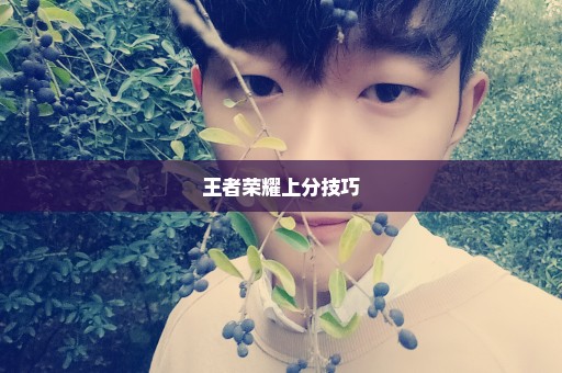 王者荣耀上分技巧