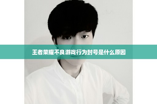 王者荣耀不良游戏行为封号是什么原因