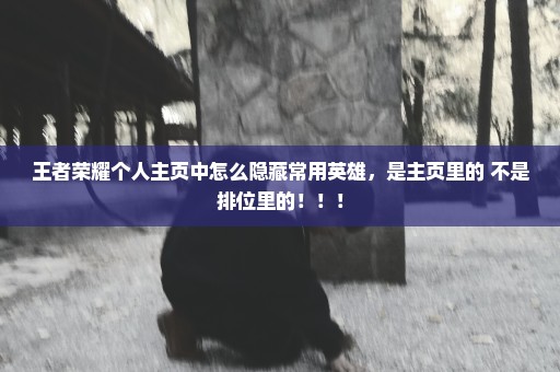 王者荣耀个人主页中怎么隐藏常用英雄，是主页里的 不是排位里的！！！