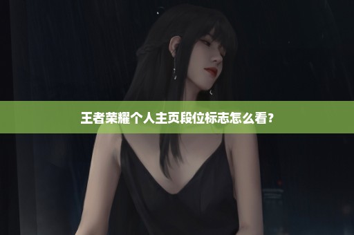 王者荣耀个人主页段位标志怎么看？