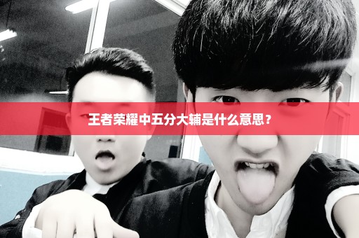 王者荣耀中五分大辅是什么意思？