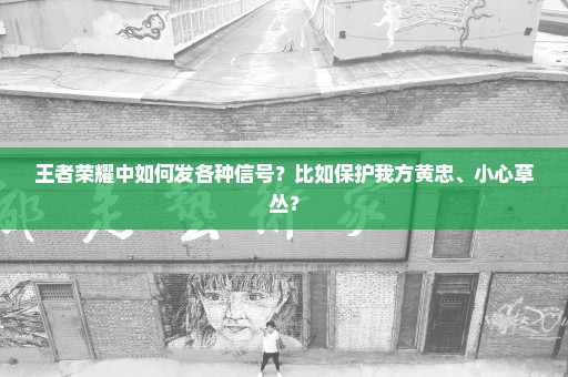 王者荣耀中如何发各种信号？比如保护我方黄忠、小心草丛？