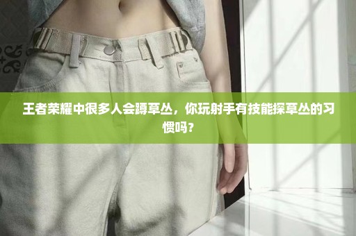 王者荣耀中很多人会蹲草丛，你玩射手有技能探草丛的习惯吗？