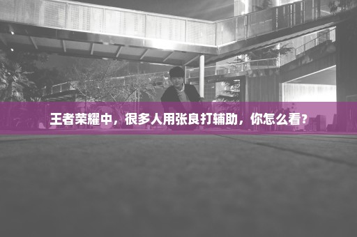 王者荣耀中，很多人用张良打辅助，你怎么看？