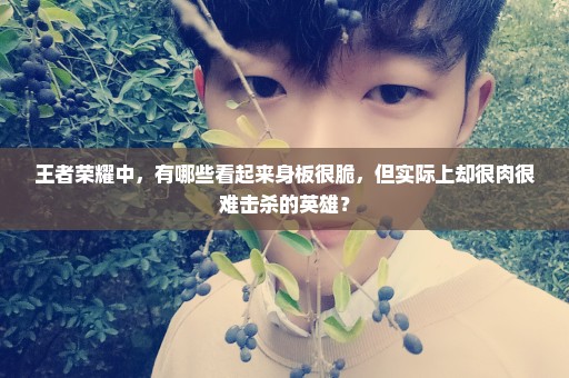 王者荣耀中，有哪些看起来身板很脆，但实际上却很肉很难击杀的英雄？