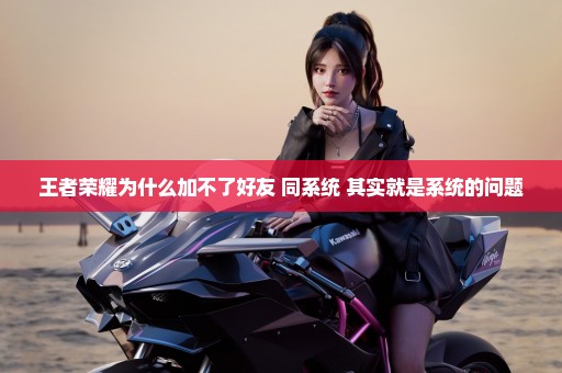 王者荣耀为什么加不了好友 同系统 其实就是系统的问题