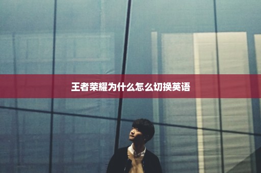 王者荣耀为什么怎么切换英语
