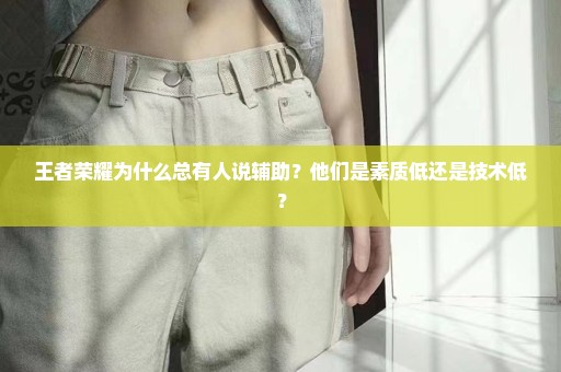王者荣耀为什么总有人说辅助？他们是素质低还是技术低？