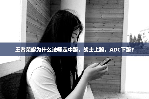 王者荣耀为什么法师走中路，战士上路，ADC下路？