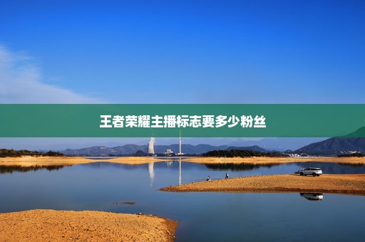 王者荣耀主播标志要多少粉丝