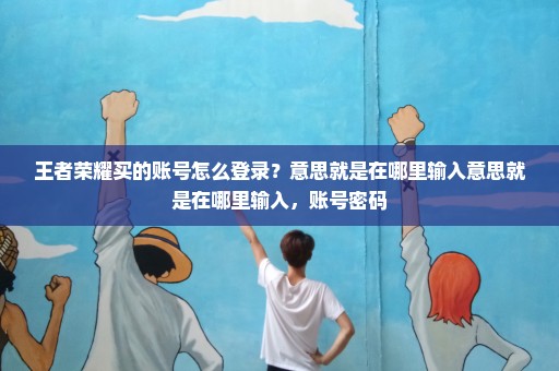 王者荣耀买的账号怎么登录？意思就是在哪里输入意思就是在哪里输入，账号密码