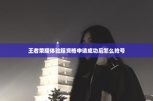 王者荣耀体验服资格申请成功后怎么抢号