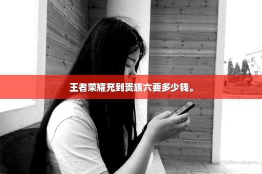 王者荣耀充到贵族六要多少钱。