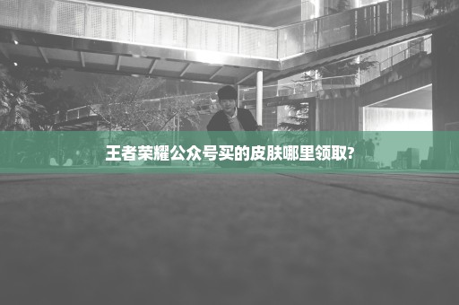 王者荣耀公众号买的皮肤哪里领取?