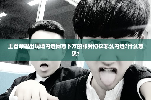 王者荣耀出现请勾选同意下方的服务协议怎么勾选?什么意思?