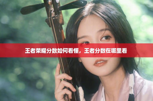 王者荣耀分数如何看懂，王者分数在哪里看 