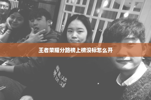 王者荣耀分路榜上榜没标怎么开