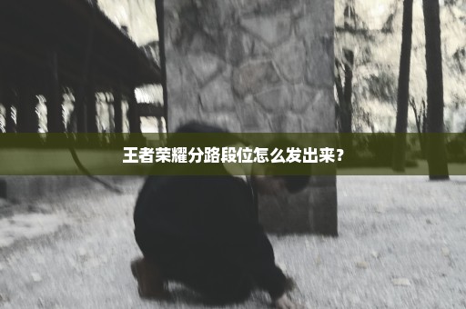 王者荣耀分路段位怎么发出来？