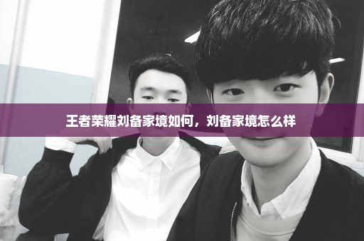 王者荣耀刘备家境如何，刘备家境怎么样 