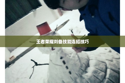 王者荣耀刘备技能连招技巧