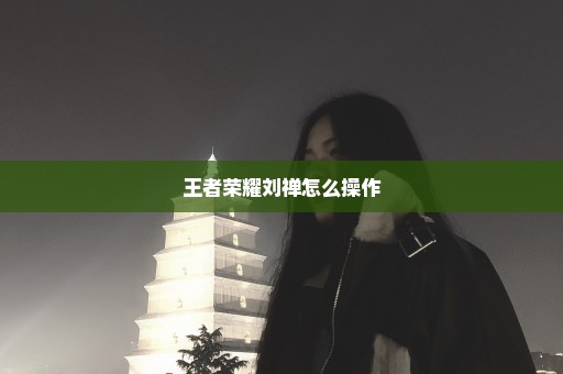 王者荣耀刘禅怎么操作