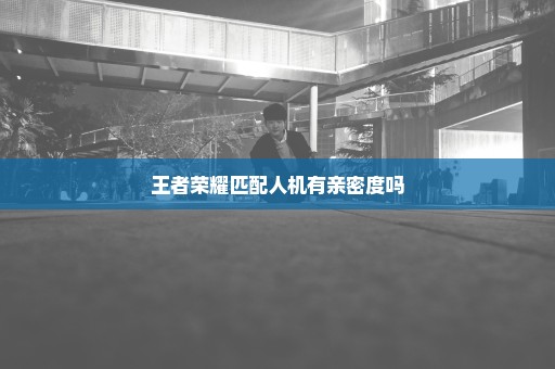 王者荣耀匹配人机有亲密度吗