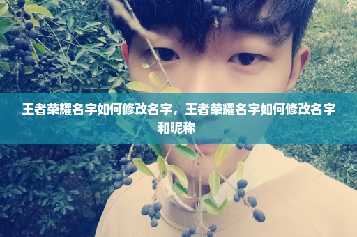 王者荣耀名字如何修改名字，王者荣耀名字如何修改名字和昵称 