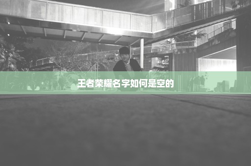 王者荣耀名字如何是空的