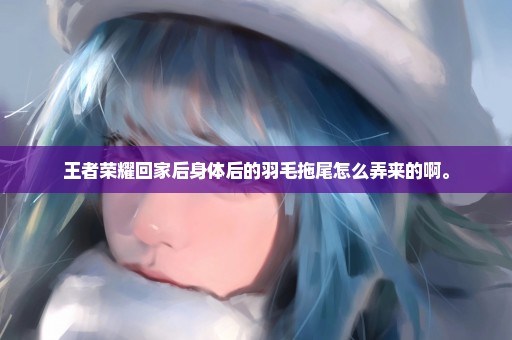 王者荣耀回家后身体后的羽毛拖尾怎么弄来的啊。