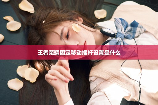 王者荣耀固定移动摇杆设置是什么
