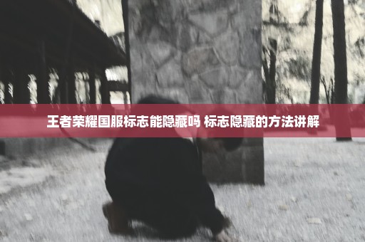 王者荣耀国服标志能隐藏吗 标志隐藏的方法讲解