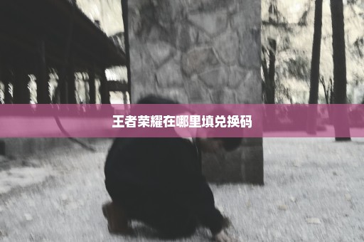 王者荣耀在哪里填兑换码