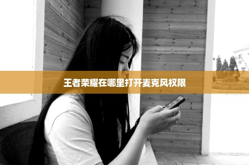 王者荣耀在哪里打开麦克风权限