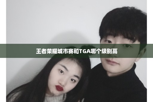 王者荣耀城市赛和TGA哪个级别高
