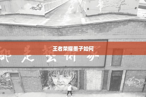 王者荣耀墨子如何