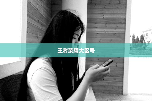 王者荣耀大区号