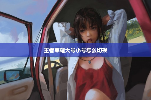 王者荣耀大号小号怎么切换