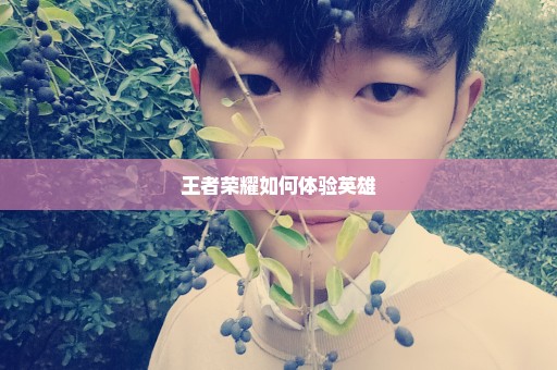 王者荣耀如何体验英雄