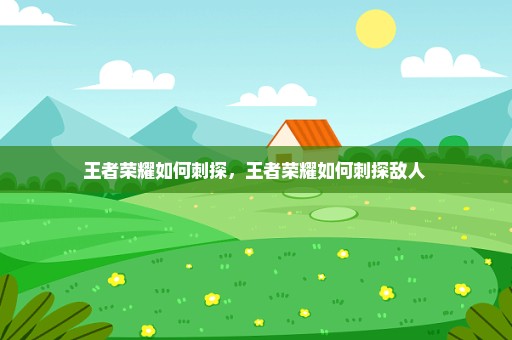 王者荣耀如何刺探，王者荣耀如何刺探敌人 