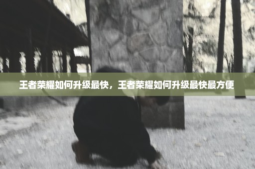 王者荣耀如何升级最快，王者荣耀如何升级最快最方便 