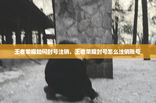 王者荣耀如何封号注销，王者荣耀封号怎么注销账号 