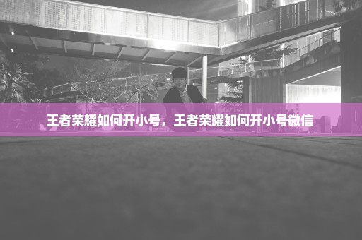 王者荣耀如何开小号，王者荣耀如何开小号微信 